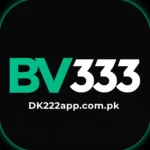 BV333 Game Download