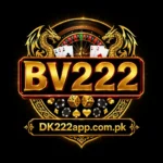 BV222 Game The Real Earning App In Pakitan